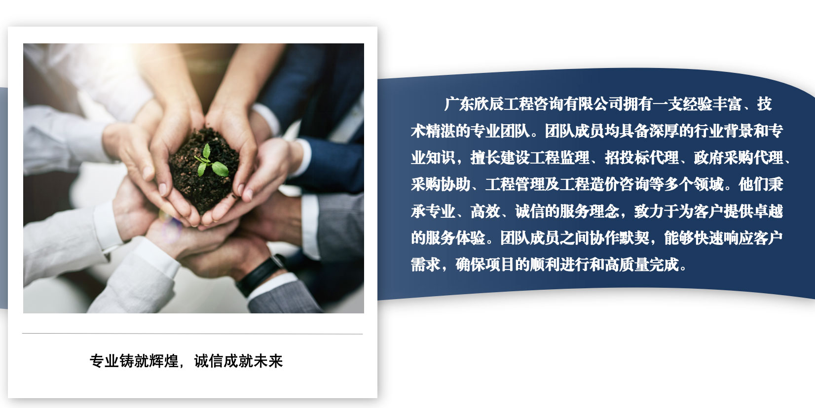 团队介绍